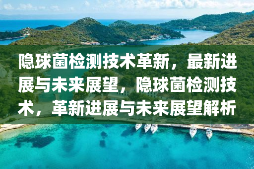 隱球菌檢測(cè)技術(shù)革新，最新進(jìn)展與未來展望，隱球菌檢測(cè)技術(shù)，革新進(jìn)展與未來展望解析