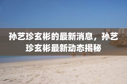 孫藝珍玄彬的最新消息，孫藝珍玄彬最新動態(tài)揭秘