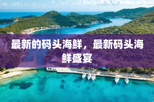 最新的碼頭海鮮，最新碼頭海鮮盛宴