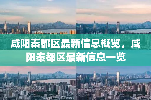 咸陽秦都區(qū)最新信息概覽，咸陽秦都區(qū)最新信息一覽