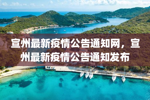 宣州最新疫情公告通知網(wǎng)，宣州最新疫情公告通知發(fā)布