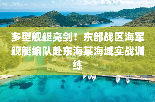 多型艦艇亮劍！東部戰(zhàn)區(qū)海軍艦艇編隊(duì)赴東海某海域?qū)崙?zhàn)訓(xùn)練