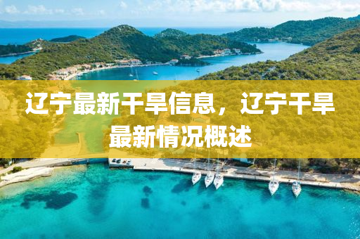 遼寧最新干旱信息，遼寧干旱最新情況概述