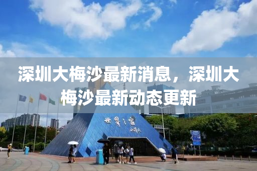 深圳大梅沙最新消息，深圳大梅沙最新動(dòng)態(tài)更新