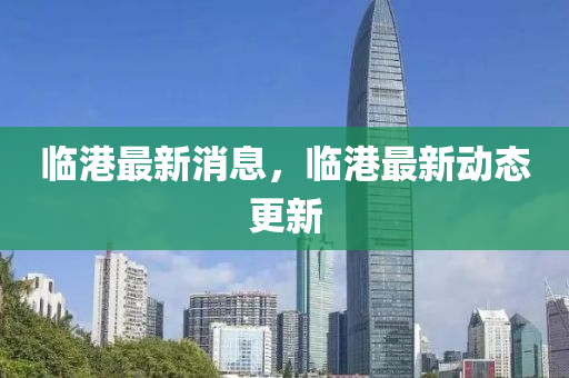 臨港最新消息，臨港最新動(dòng)態(tài)更新