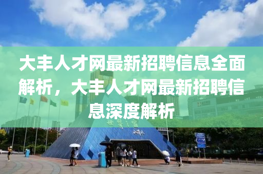 大豐人才網(wǎng)最新招聘信息全面解析，大豐人才網(wǎng)最新招聘信息深度解析