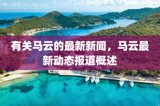 有關(guān)馬云的最新新聞，馬云最新動(dòng)態(tài)報(bào)道概述