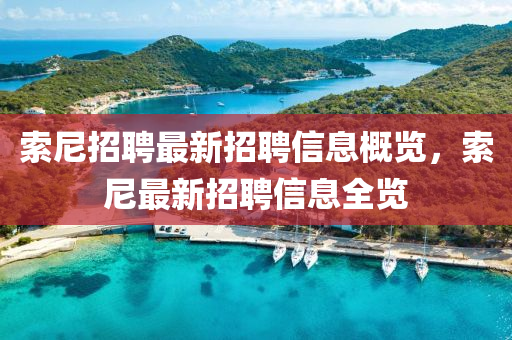 索尼招聘最新招聘信息概覽，索尼最新招聘信息全覽