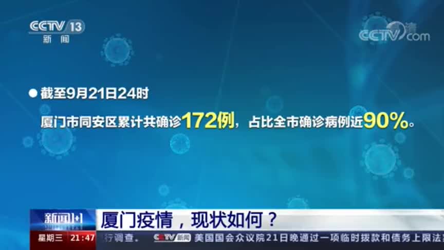 廈門11月疫情最新消息，廈門11月疫情實(shí)時(shí)更新，最新消息與動(dòng)態(tài)