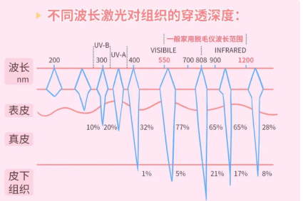 2023年最新脫毛機器價格大盤點，性價比之選一網(wǎng)打盡，2023年脫毛機性價比排行榜，一網(wǎng)打盡熱門機型價格解析