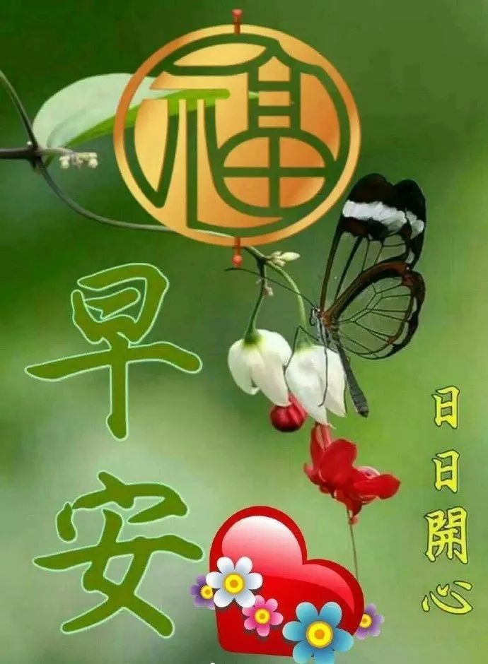 最新動態(tài)早上好圖，每日新鮮，最新動態(tài)早間圖集