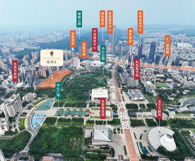 東莞最新雞市,東莞最新雞市行情，東莞最新雞市行情概覽