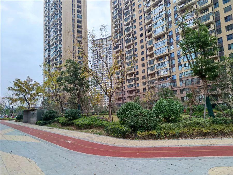 鹽城四季金輝最新動(dòng)態(tài)，品質(zhì)生活，演繹溫馨時(shí)光，鹽城四季金輝，品質(zhì)生活新篇章，溫馨時(shí)光盡顯魅力
