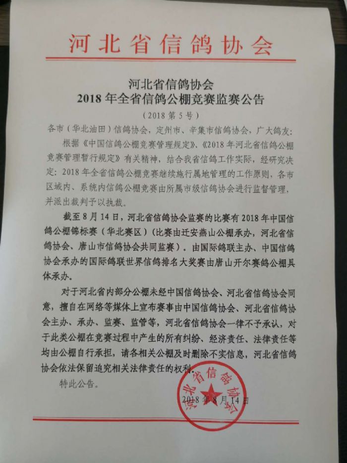 金鼎公棚最新掃描,金鼎公棚2020年掃描記錄，金鼎公棚最新掃描報(bào)告，揭秘2020年掃描記錄全貌