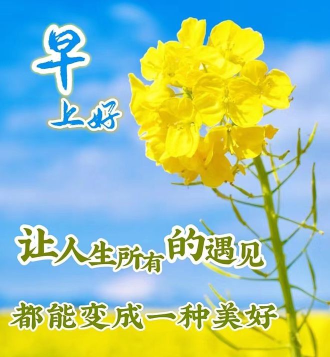 溫馨早安圖片最新，晨曦溫馨，早安時(shí)光，最新早安圖片精選