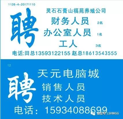 芳橋最新招聘，探索職業(yè)發(fā)展的新機遇，芳橋最新招聘，職業(yè)發(fā)展的新機遇探索