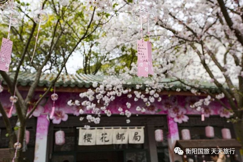 南通最新春，探尋江南水鄉(xiāng)的春日韻味，江南春韻，南通水鄉(xiāng)春日漫步記
