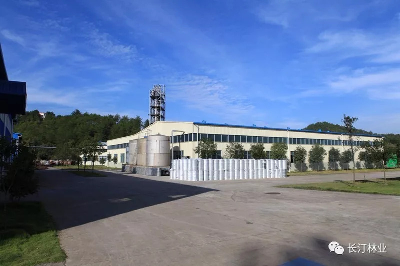 杭埠最新招商動(dòng)態(tài)，投資新機(jī)遇，共創(chuàng)輝煌未來(lái)，杭埠招商新動(dòng)向，挖掘投資潛力，攜手共創(chuàng)輝煌