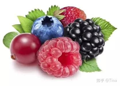 漿果兒事件最新，漿果兒事件追蹤，最新進(jìn)展全解析