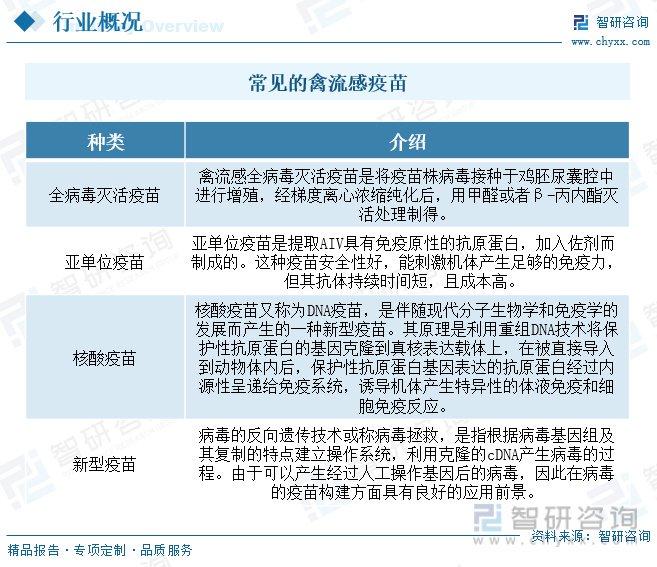 豬流感最新情況，防控措施升級(jí)，疫苗研發(fā)進(jìn)展，豬流感防控升級(jí)與疫苗研發(fā)動(dòng)態(tài)速遞