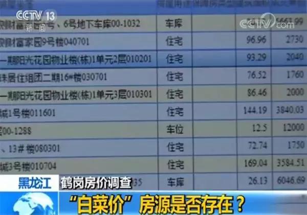 鶴崗最新二手房信息盤點(diǎn)，房源詳析，投資指南一網(wǎng)打盡，鶴崗二手房投資攻略，詳析房源信息，指南一網(wǎng)打盡