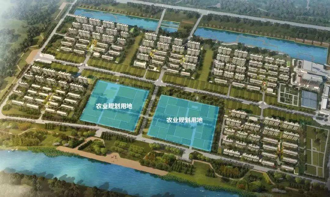 陳輝玲最新消息，陳輝玲最新動(dòng)態(tài)揭曉