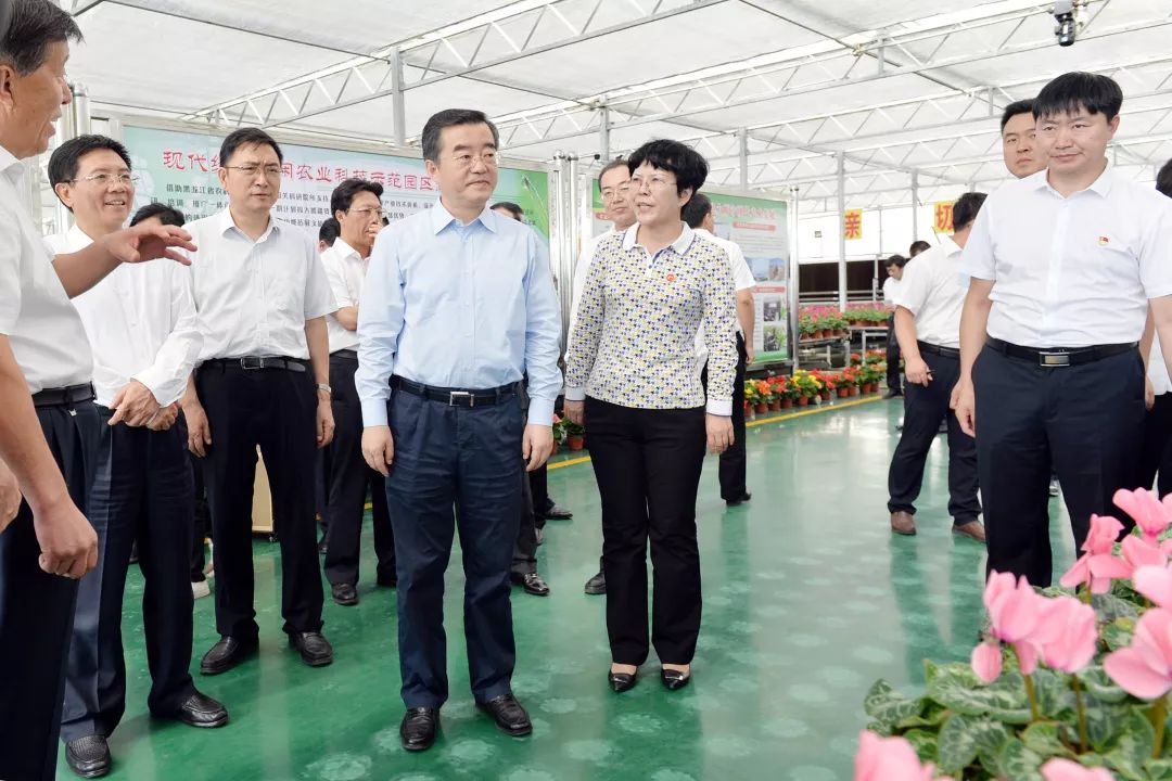 一八七團(tuán)最新消息，一八七團(tuán)最新動(dòng)態(tài)揭曉