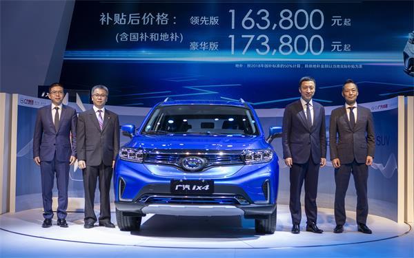 新能源牌照的轎車，新能源汽車專屬牌照轎車市場新動向