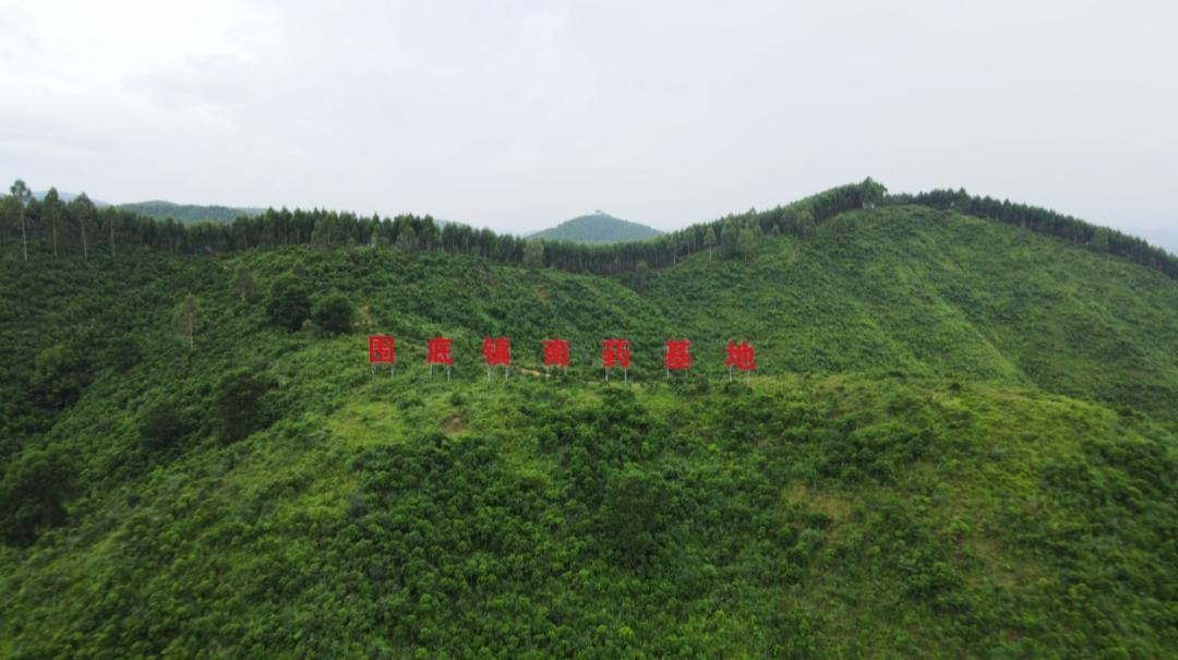 鄉(xiāng)村振興 第4頁