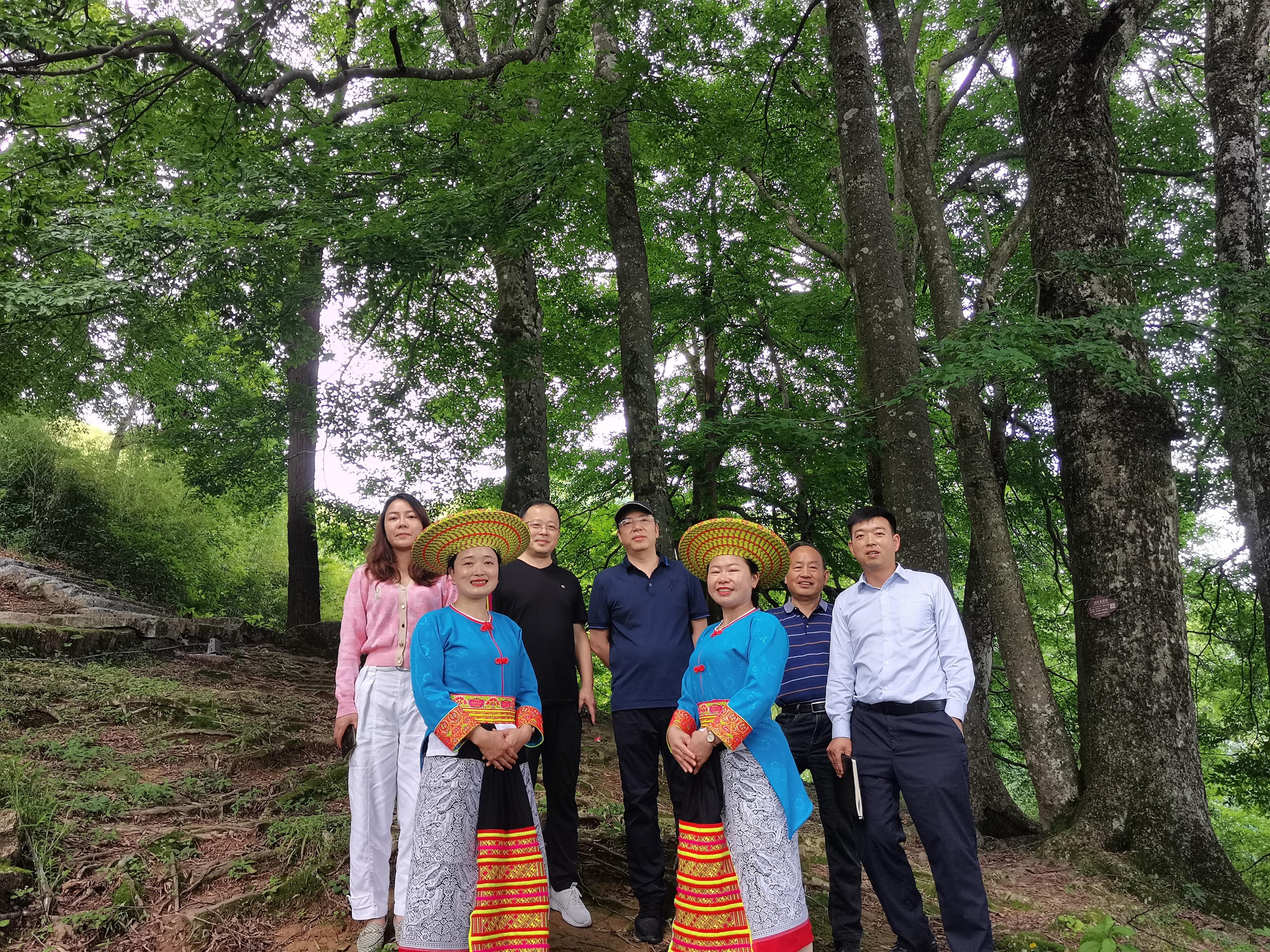 湖南新能源公司向民眾普及綠色能源，助力綠色發(fā)展新篇章，湖南新能源公司推動(dòng)綠色能源普及，共繪綠色發(fā)展新畫卷