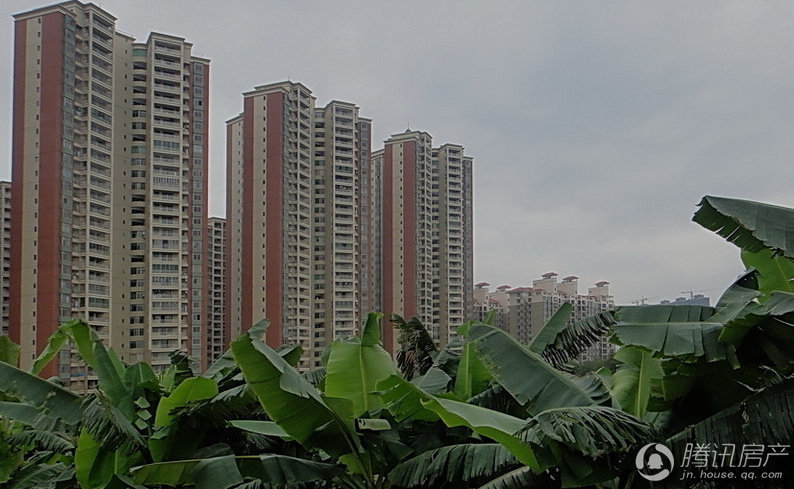 北證還有救嗎最新消息，北證市場(chǎng)最新動(dòng)態(tài)，探尋救市可能性