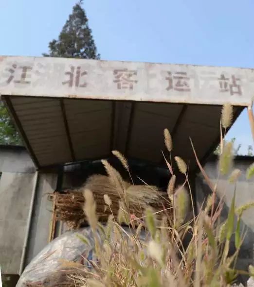 蕪湖市二壩鎮(zhèn)最新新聞，蕪湖市二壩鎮(zhèn)最新動(dòng)態(tài)聚焦