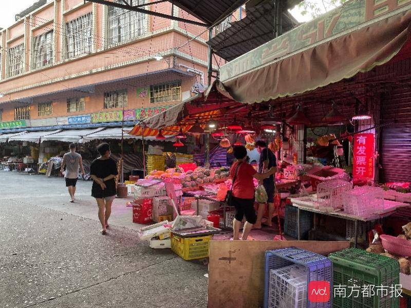深度解析，養(yǎng)牛業(yè)最新病毒挑戰(zhàn)與防控策略，應(yīng)對(duì)養(yǎng)牛業(yè)病毒挑戰(zhàn)，最新防控策略深度解析