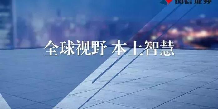 臨風(fēng)股份最新動(dòng)態(tài)，戰(zhàn)略布局調(diào)整，業(yè)績?cè)賱?chuàng)新高！，臨風(fēng)股份戰(zhàn)略調(diào)整助力業(yè)績攀新高