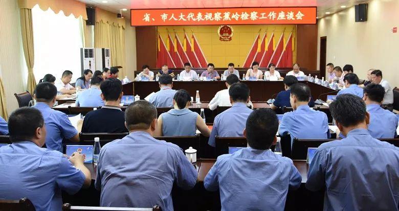 蕉嶺丘德俊最新動態(tài)，蕉嶺丘德俊近期資訊速遞
