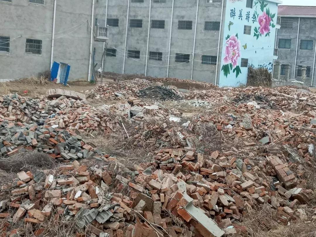 綠色出行 第4頁
