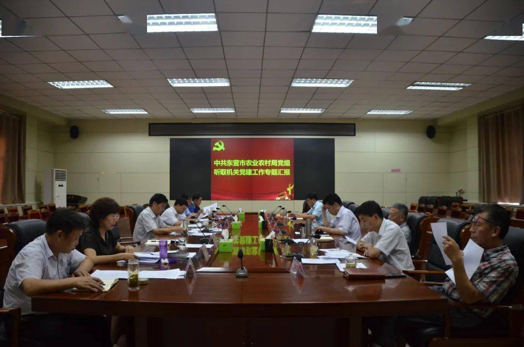 洞涇輕軌站最新消息，洞涇輕軌站最新進展及動態(tài)速覽